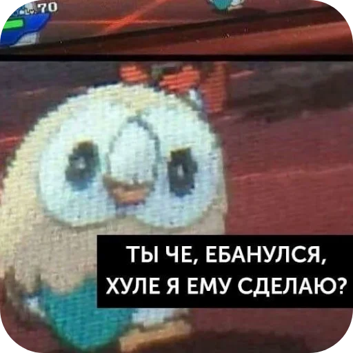 🦉 Стикер «1 дня» для Telegram