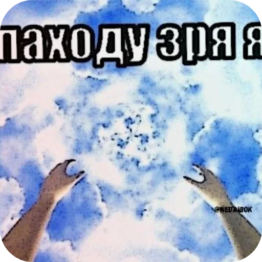 🐦 Стикер «1 дня» для Telegram