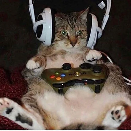 🎮 Стикер «Stupid Cattos» для Telegram