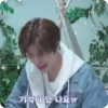 Стикер 10 🗯️ Stray Kids