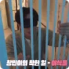 Обложка набора 🗯️ Stray Kids