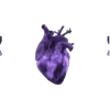 Стикер 44 ၇𝐒𝜇𝑐𝑐𝑢𝑏𝑒𝑙𝑙𝑒 𓌹 ᵃᵐᵉᵗʰʸˢᵗⁱⁿᵉ𓌺