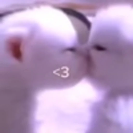 😘 Эмодзи «✧⁠♡︎°𝓔𝓿𝓮𝓵𝓲𝓷𝓪 °♡︎✧⁠» для Telegram