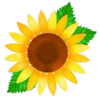 Стикер 57 🌞 Summer - летний вайб