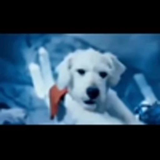 Стикер 33 Superman 2025