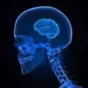 Стикер 2 Supermind