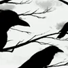 Стикер 23 𓏶𝐒𝜔𝑒𝑒𝑡 𝐒𝖏𝜘𝖏𝑠𝑡𝑒𝑟