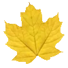 Стикер 5 Sweet Yellow