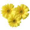 Стикер 23 Sweet Yellow