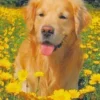 Стикер 2 Sweet Yellow