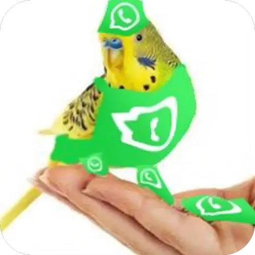 🫥 Стикер «WhatsApp memes» для Telegram