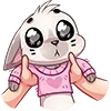 Стикер 14 Бисквит #animal #cat #emoji #vk