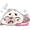 Стикер 8 Бисквит #animal #cat #emoji #vk