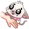 Стикер 22 Бисквит #animal #cat #emoji #vk