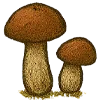 🍄‍🟫 Эмодзи «Деревенские иконки» для Telegram