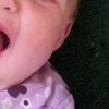 🤡 Эмодзи «Смешные картинки» для Telegram