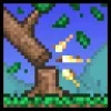 Обложка набора Terraria