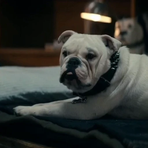 🤩 Стикер «Terror good boy» для Telegram
