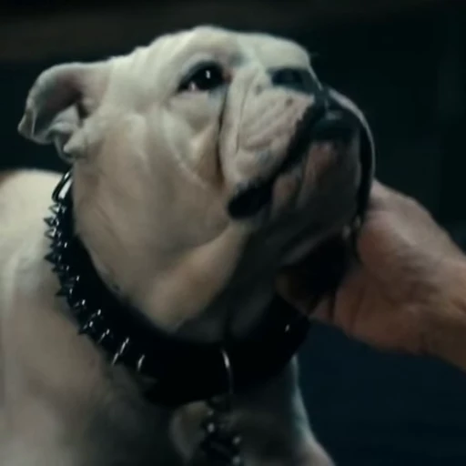 🤩 Стикер «Terror good boy» для Telegram
