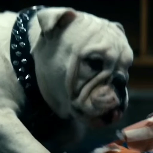 🤩 Стикер «Terror good boy» для Telegram