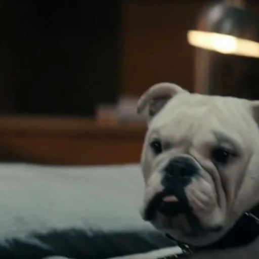 🤩 Стикер «Terror good boy» для Telegram