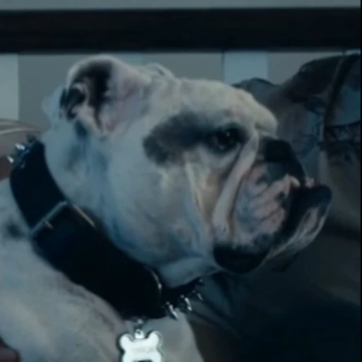 ☹️ Стикер «Terror good boy» для Telegram