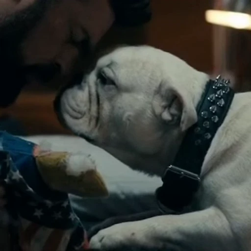 🤩 Стикер «Terror good boy» для Telegram