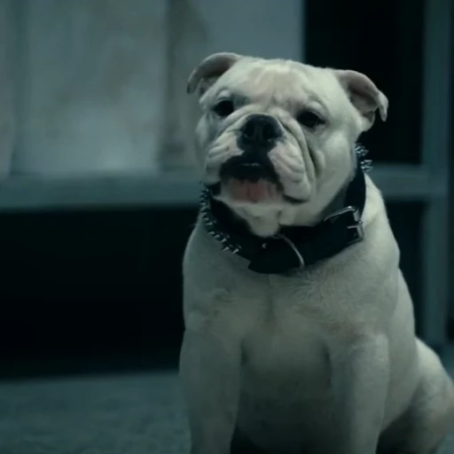 🤩 Стикер «Terror good boy» для Telegram