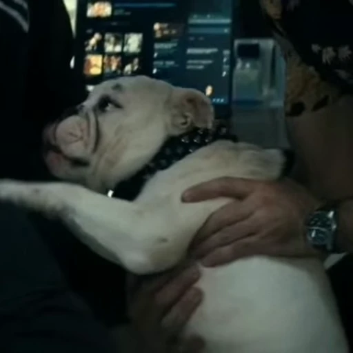 🤩 Стикер «Terror good boy» для Telegram