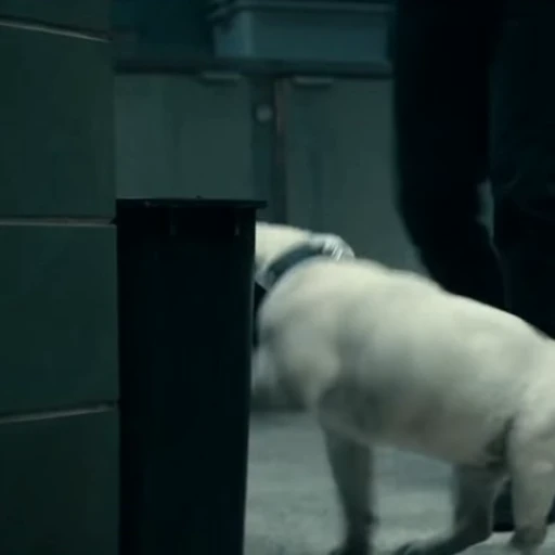 🤩 Стикер «Terror good boy» для Telegram