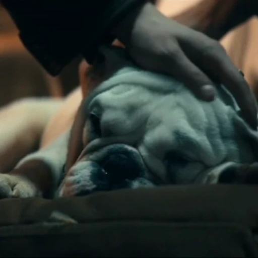😴 Стикер «Terror good boy» для Telegram