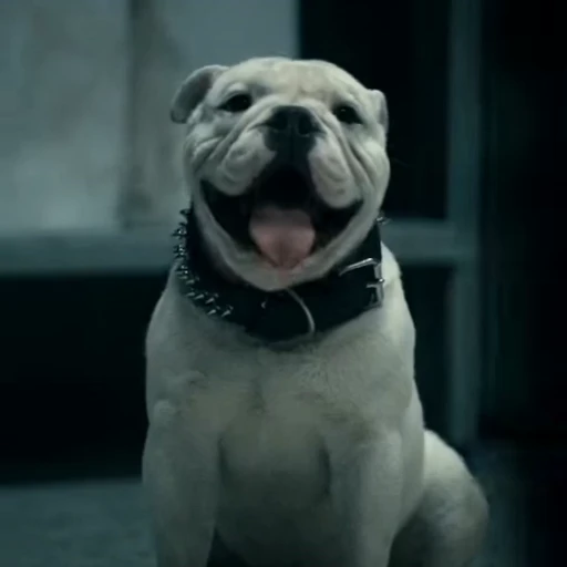 🤩 Стикер «Terror good boy» для Telegram