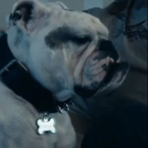 👅 Стикер «Terror good boy» для Telegram