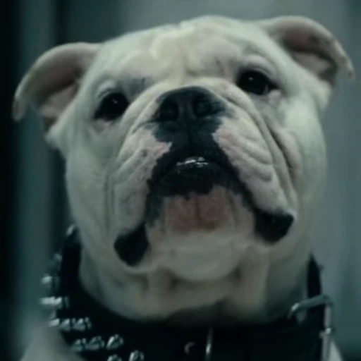 🤩 Стикер «Terror good boy» для Telegram