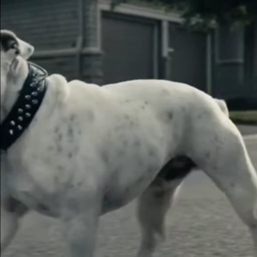 🏞️ Стикер «Terror good boy» для Telegram