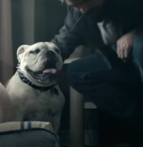 😄 Стикер «Terror good boy» для Telegram