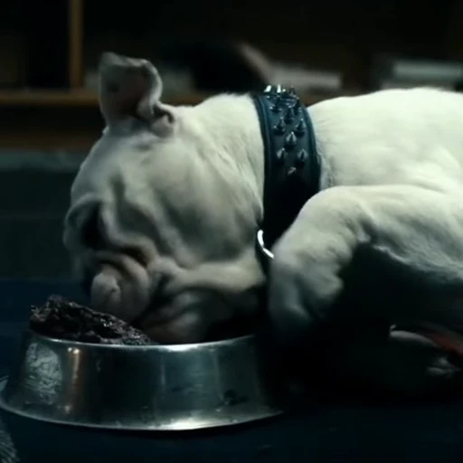🤩 Стикер «Terror good boy» для Telegram