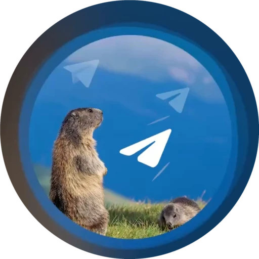 ✅ Стикер «Test_VD_FramateFps» для Telegram