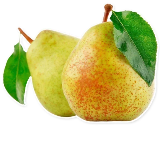 🍐 Стикер «Tetopettenson» для Telegram