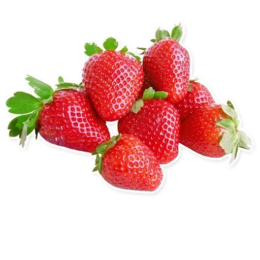 🍓 Стикер «Tetopettenson» для Telegram
