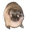 Стикерпак TgMemes для Telegram
