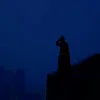 Стикер 19 The Batman
