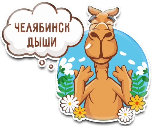 Стикер 6 theChel