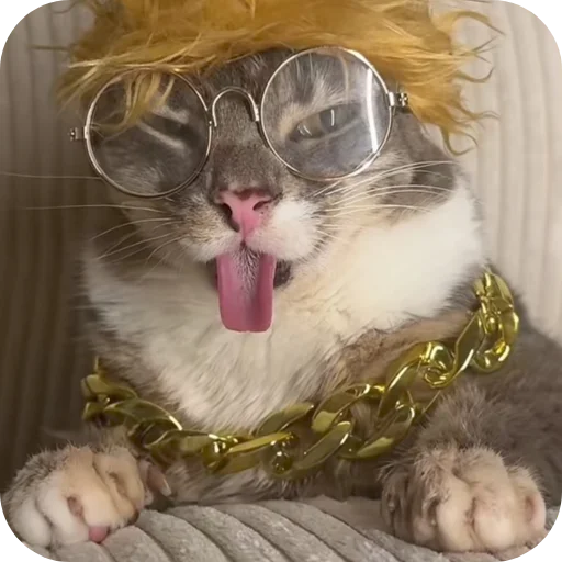 🐱 Стикер «Rigby» для Telegram