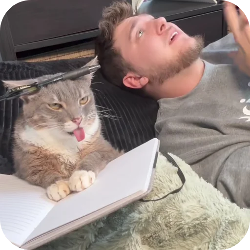 🐱 Стикер «Rigby» для Telegram