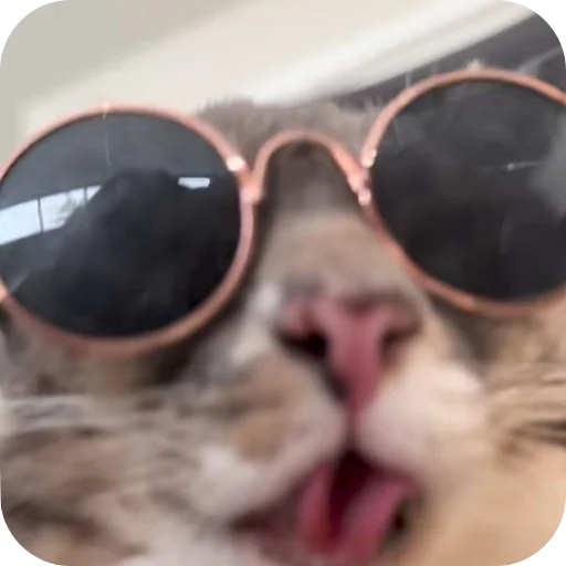 😎 Стикер «Rigby» для Telegram