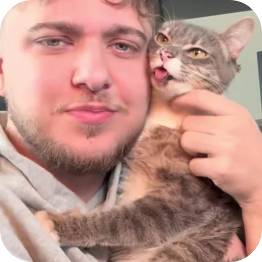 ❤ Стикер «Rigby» для Telegram