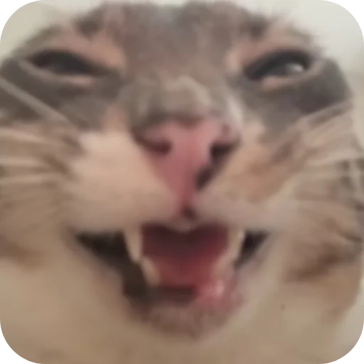 Стикерпак Rigby для Telegram