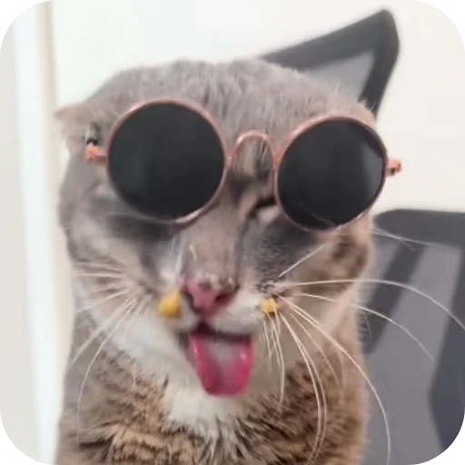 🐱 Стикер «Rigby» для Telegram