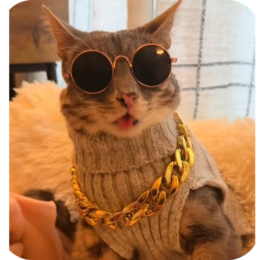 😎 Стикер «Rigby» для Telegram